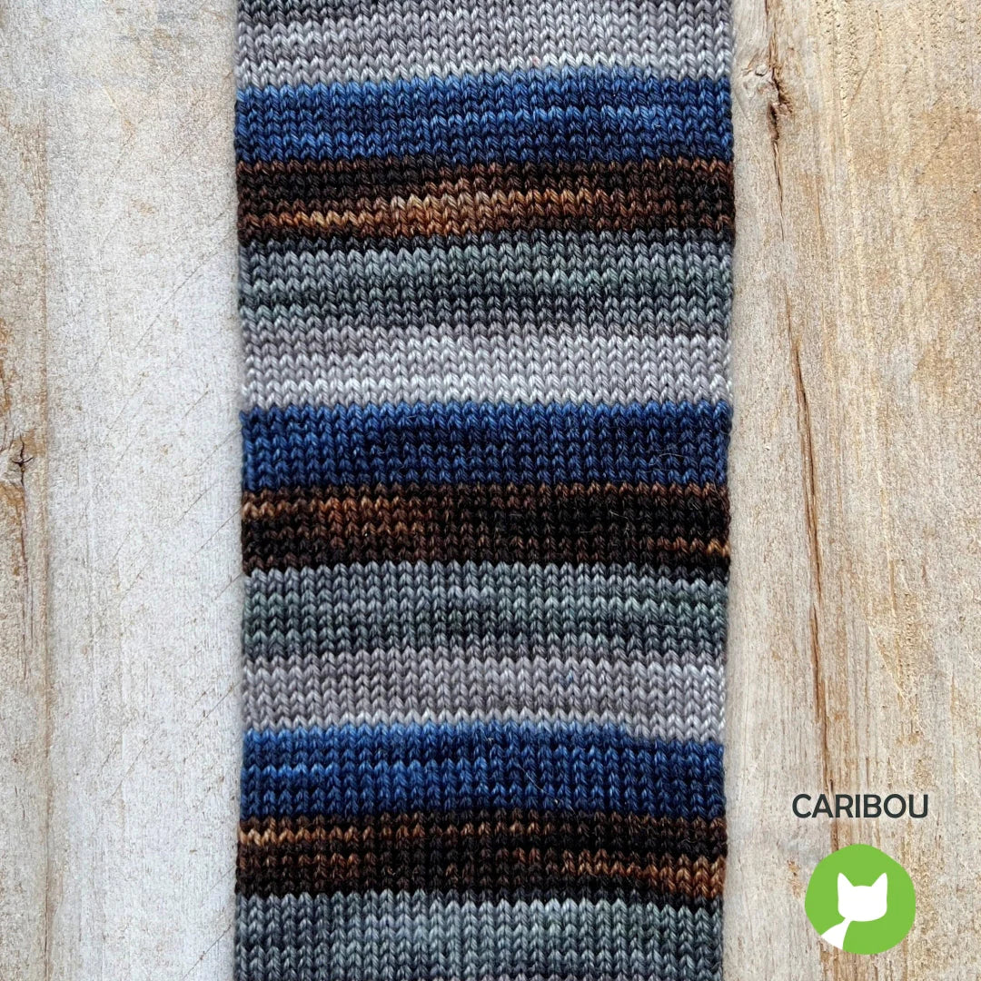 Biscotte Yarns Bis-Sock