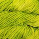 Malabrigo Rasta