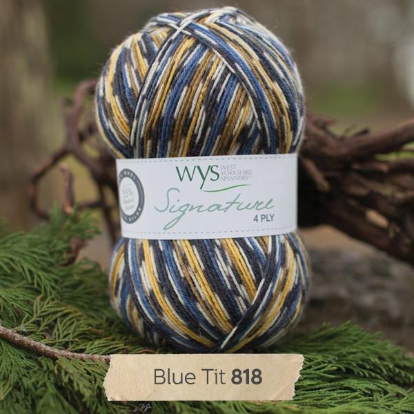 WYS Signature 4-Ply Sock