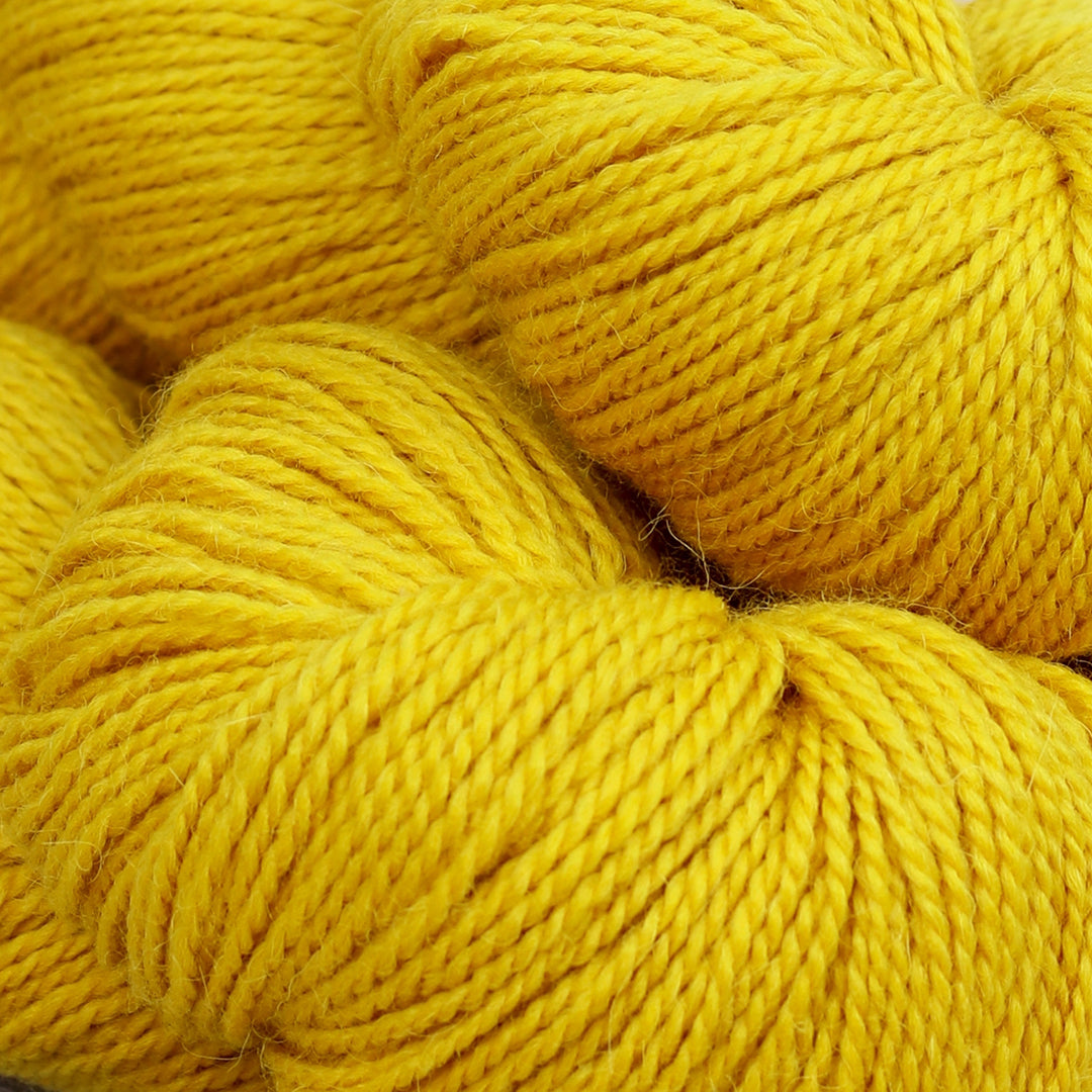Fibre Company Amble