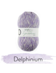WYS Signature 4-Ply Sock