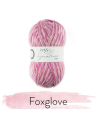 WYS Signature 4-Ply Sock