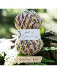 WYS Signature 4-Ply Sock