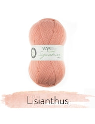WYS Signature 4-Ply Sock