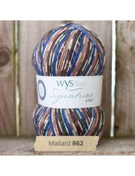 WYS Signature 4-Ply Sock