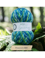 WYS Signature 4-Ply Sock