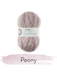WYS Signature 4-Ply Sock