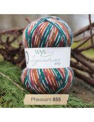 WYS Signature 4-Ply Sock