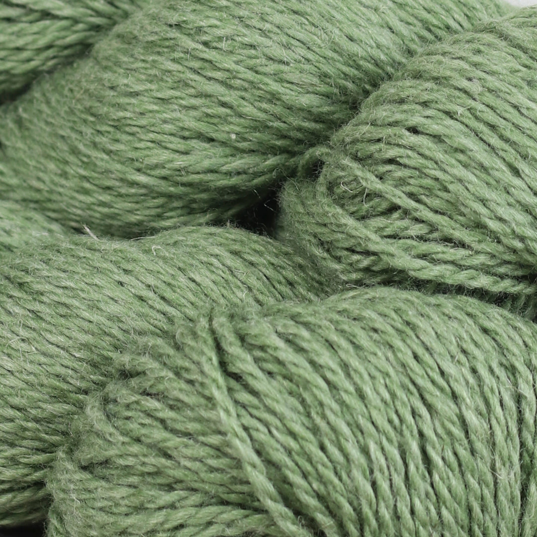 Fibre Company Luma