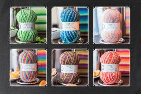 WYS Signature 4-Ply Sock