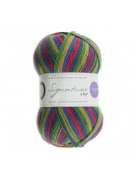 WYS Signature 4-Ply Sock