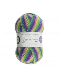 WYS Signature 4-Ply Sock
