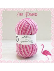 WYS Signature 4-Ply Sock
