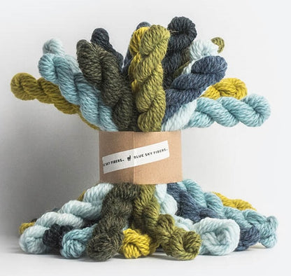Blue Sky Fibers Woolstok Holiday Bundle Kits