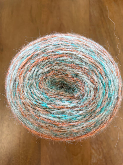 Fibre Company Transitions