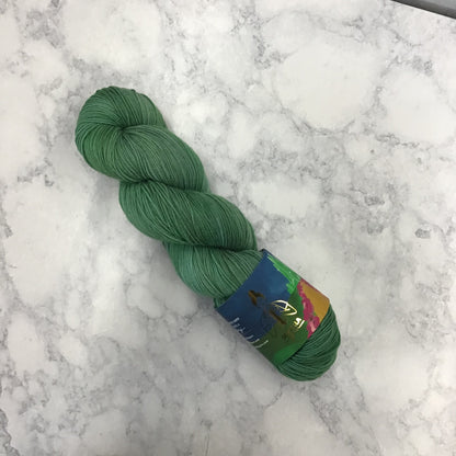 Sewrella Nylon Sock