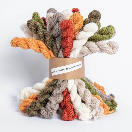 Blue Sky Fibers Fall Festival Bundle