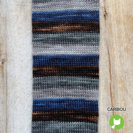 Biscotte Yarns Bis-Sock