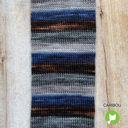 Biscotte Yarns Bis-Sock