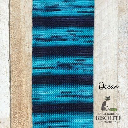 Biscotte Yarns Bis-Sock