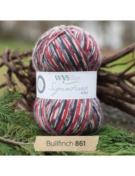 WYS Signature 4-Ply Sock