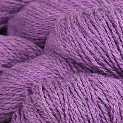 Fibre Company Luma
