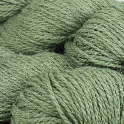 Fibre Company Luma