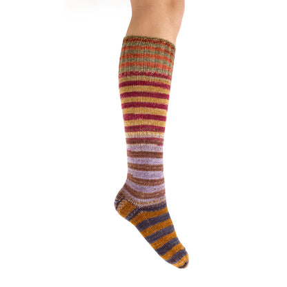 Urth Uneek Sock Kit