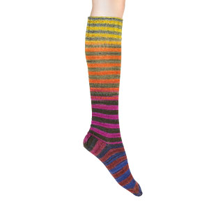 Urth Uneek Sock Kit